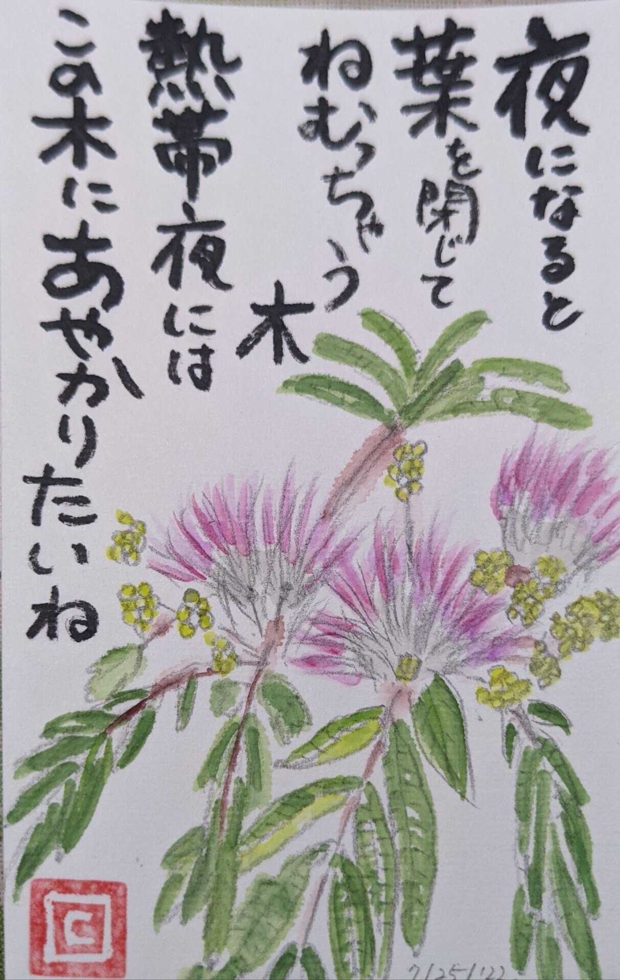 合歓の木さん Cyndi Note
