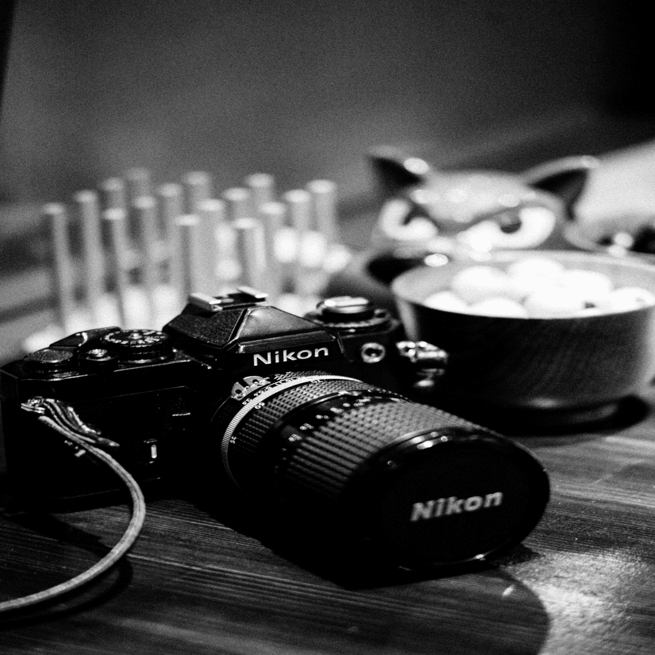 Nikon FE】ニコンFEのすゝめ #ほっこり編｜みんなフィルム好きになれ