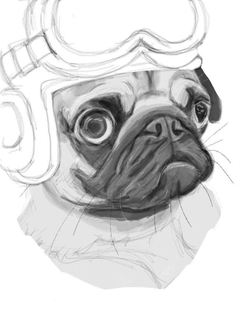 ひたすらパグを描く日々 ケンスケ コバヤシ パグ ピース Note