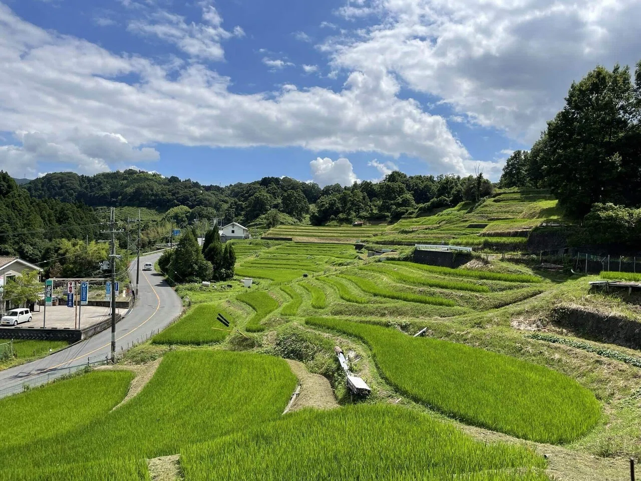 自然が作り出す風景。 人が作った棚田 愛情込めて植えた苗が スクスク育つ 秋には違う姿を見せてくれる 事に期待して #棚田 ＃稲 #空 ...