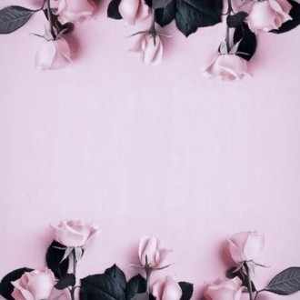 神様 加藤ミリヤ Alice Note