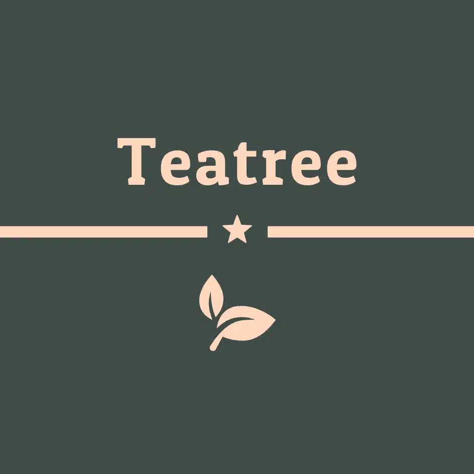 TeatreeWEB