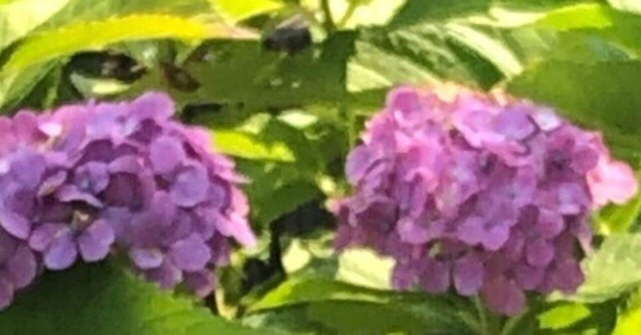 フィンランド語 名詞の変化 1 Yurinco Note フィンランド語 名詞の変化 1 Yurinco Note