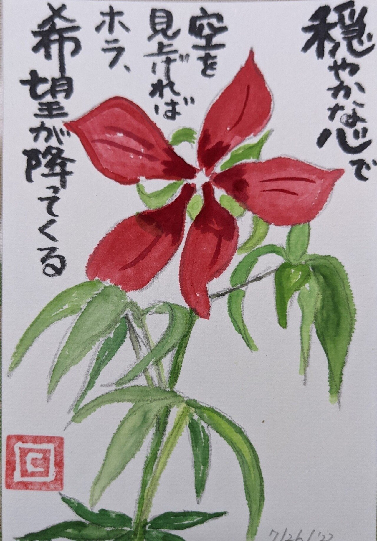 紅葉葵さん Cyndi Note 紅葉葵さん Cyndi Note