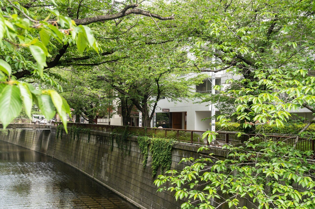 幻の川崎運河をめぐる徘徊＜桜堀→川崎河港水門＞: Cocologun