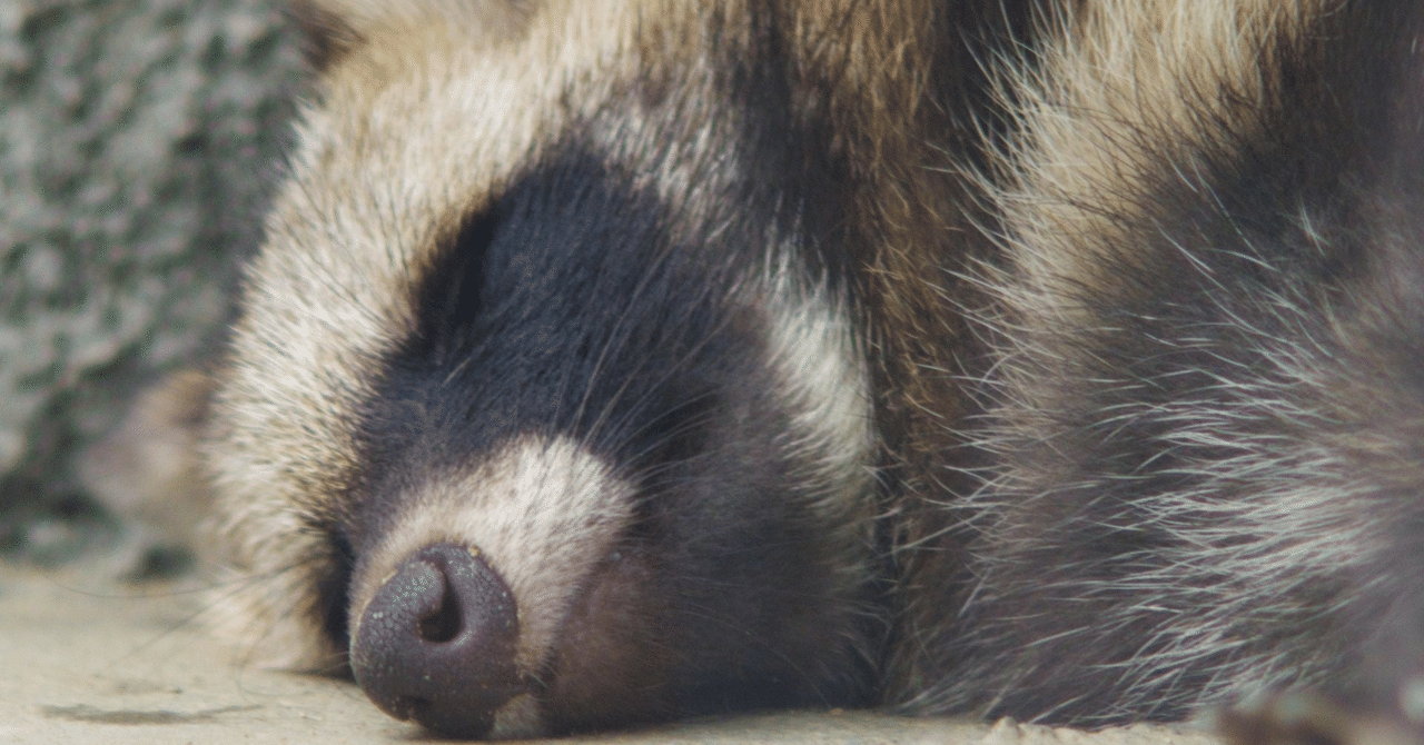 rectangle_large_type_2_17da884