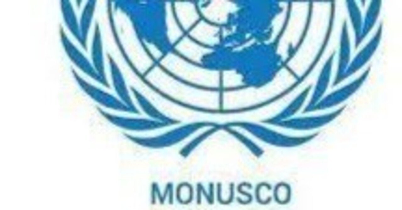 コンゴ民主共和国での反国連抗議