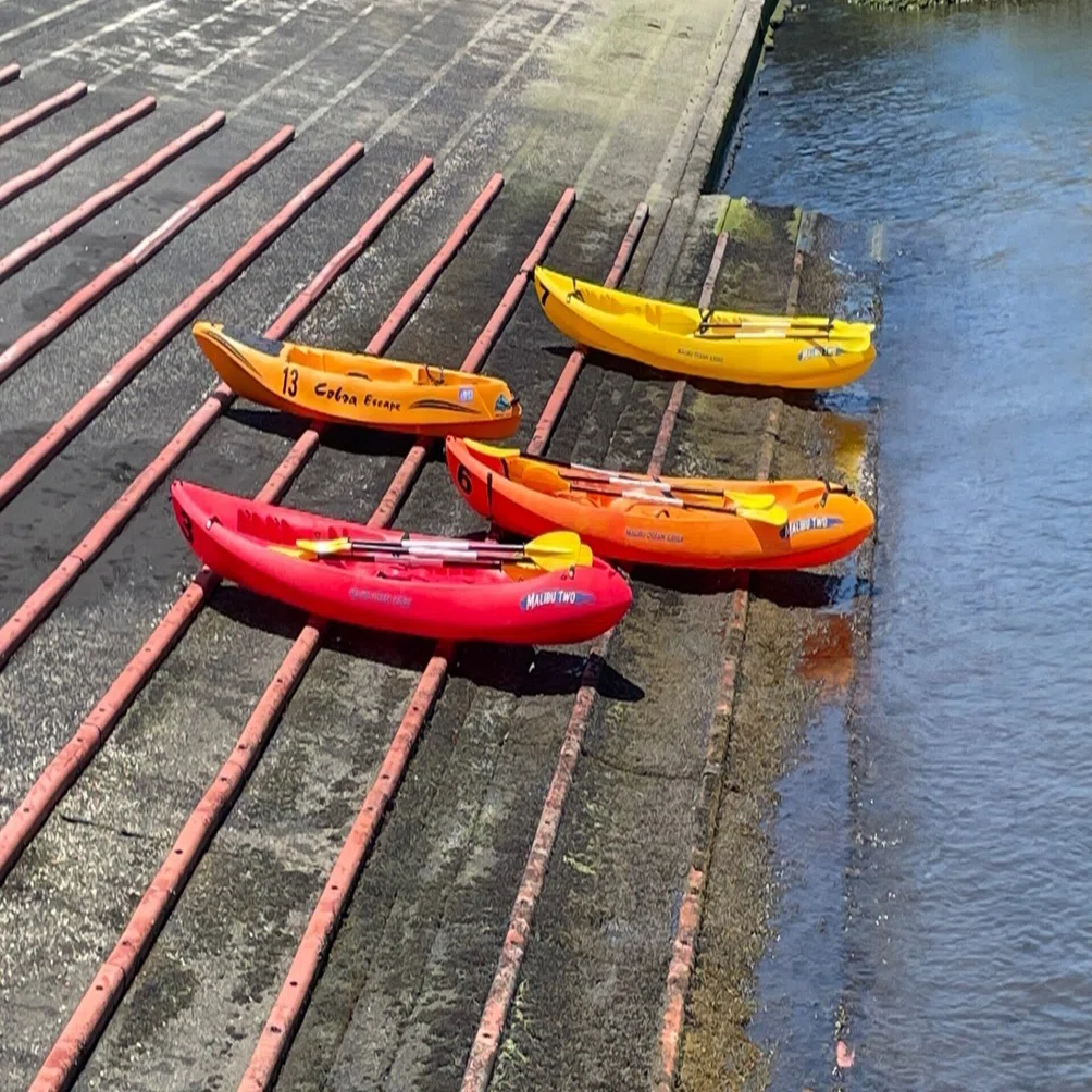 Introduction to the Miyake Junior High School Sea Kayaking