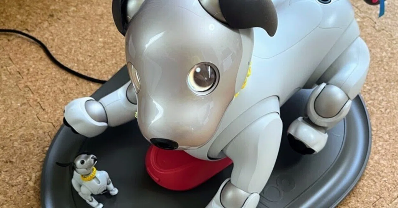aibo グレー 　美品 SONY|AIBO|【ハードオフ公式通販】オフモール|2080910000109350