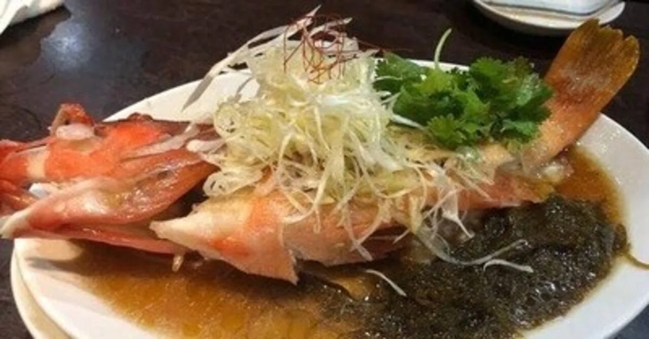 マサのおすすめ飲食店紹介22｜マサ
