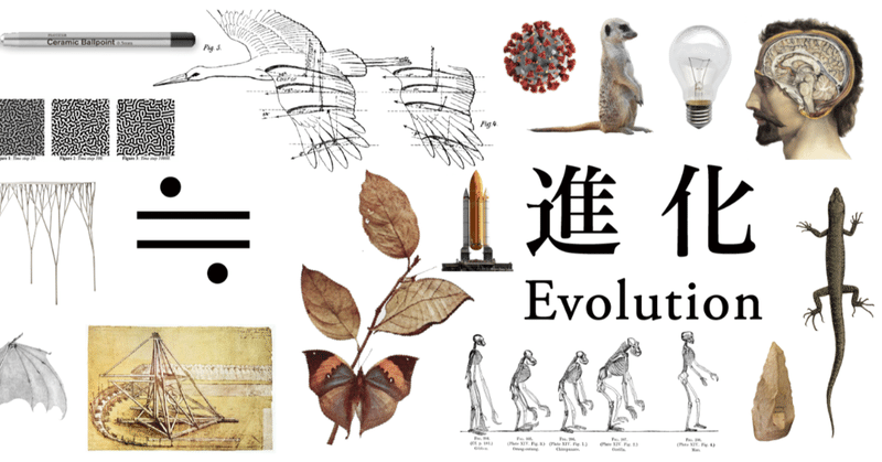 『創造性の誤解を解く鍵としての進化論』