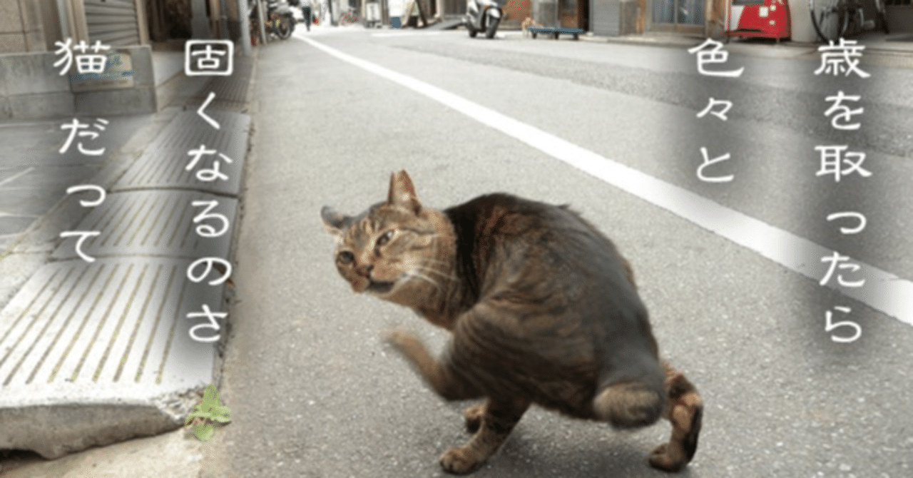 いろいろな意味で前哨戦になりそうな 獅子座新月 玉乃わいんの 女道 おんなどう いろいろな意味で前哨戦になりそうな 獅子座新月 玉乃わいんの 女道 おんなどう