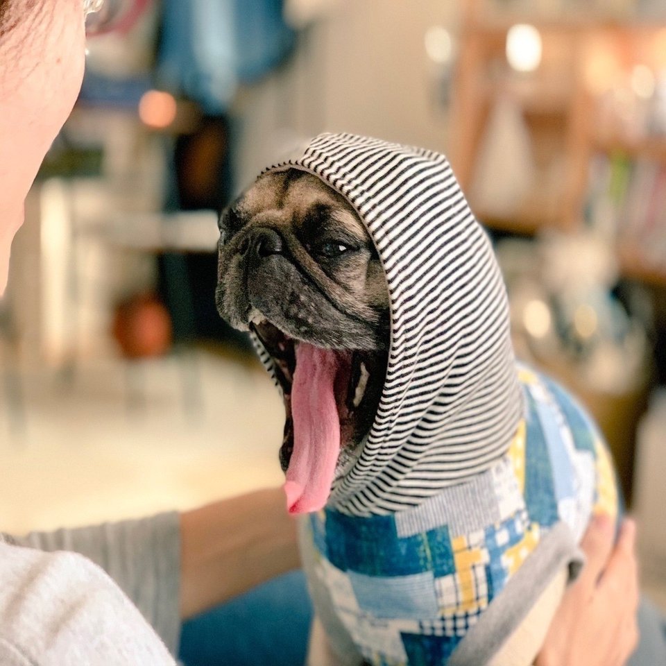 ひたすらパグを描く日々 ケンスケ コバヤシ パグ ピース Note