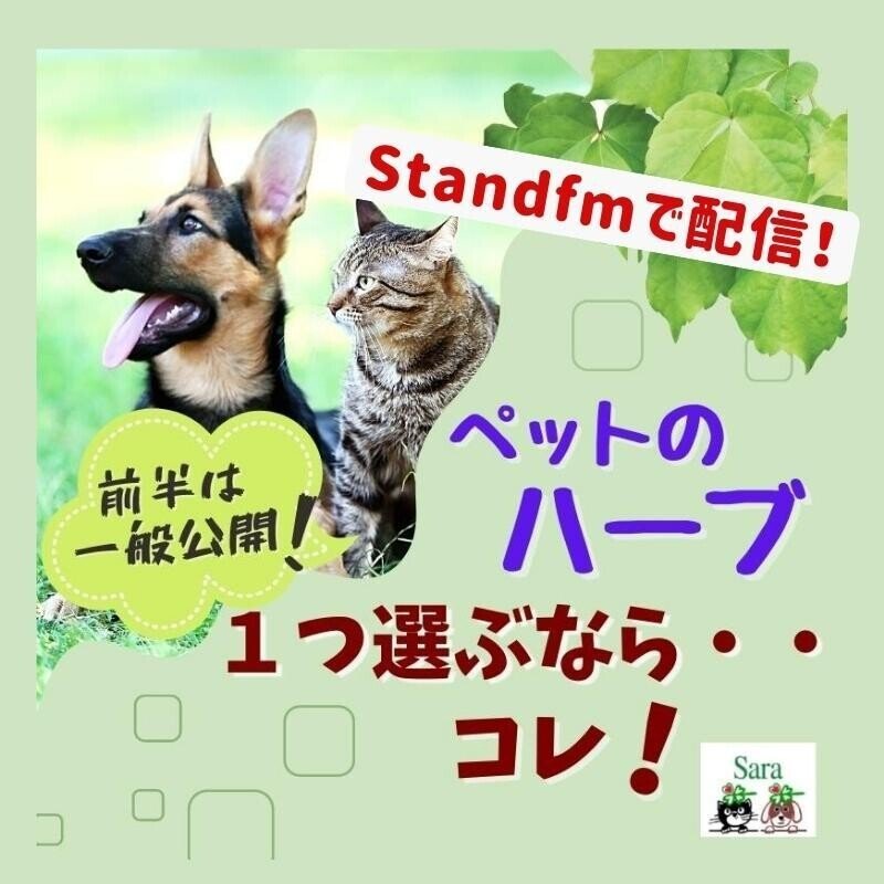 Standfmで配信___2_