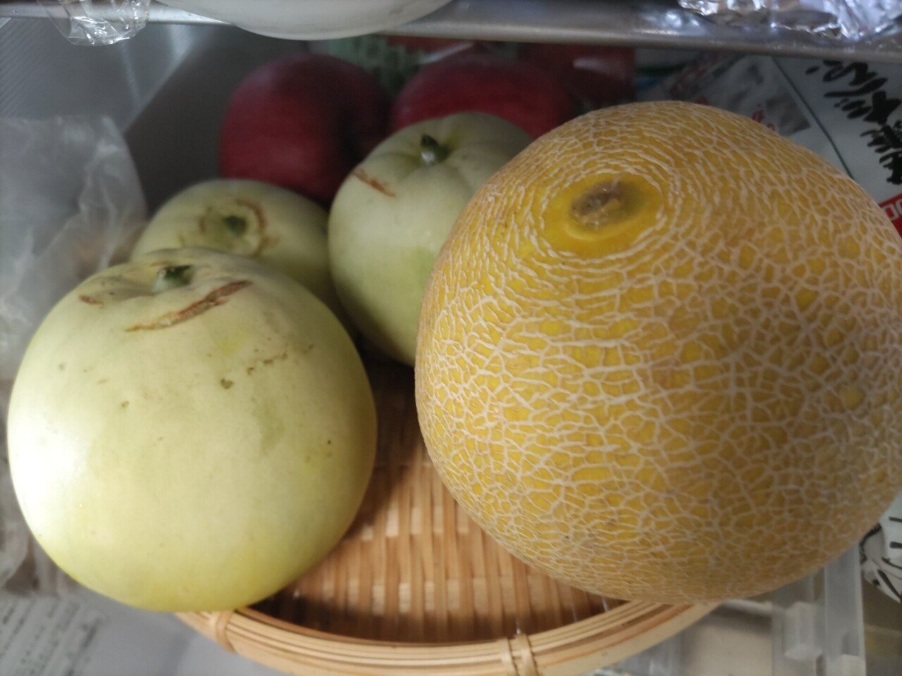 夏本番③ リベンジころたん(ミニメロン)｜備後菜園ライフ