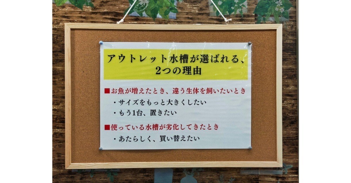 アウトレット水槽コーナーの紹介｜アクアステージ21 SUNAMO店（内藤）