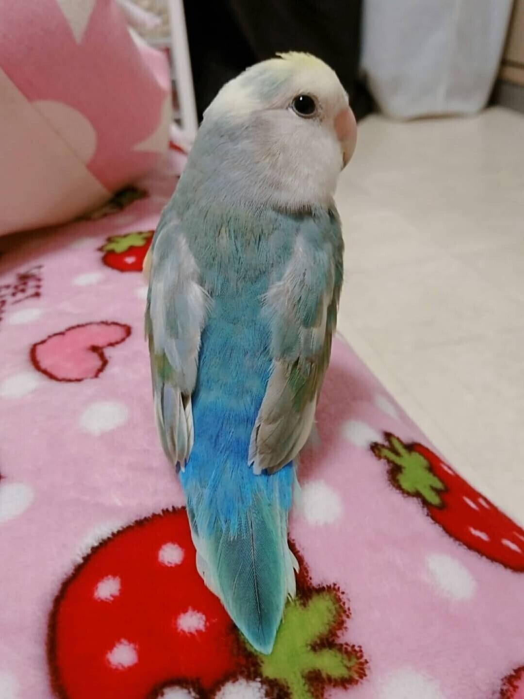 私の家族｜みぅ