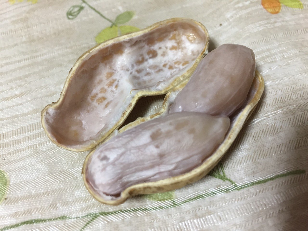 炒るだけじゃない 茹で落花生がうまいんだ おがたきりこ 旅するフリーライター Note