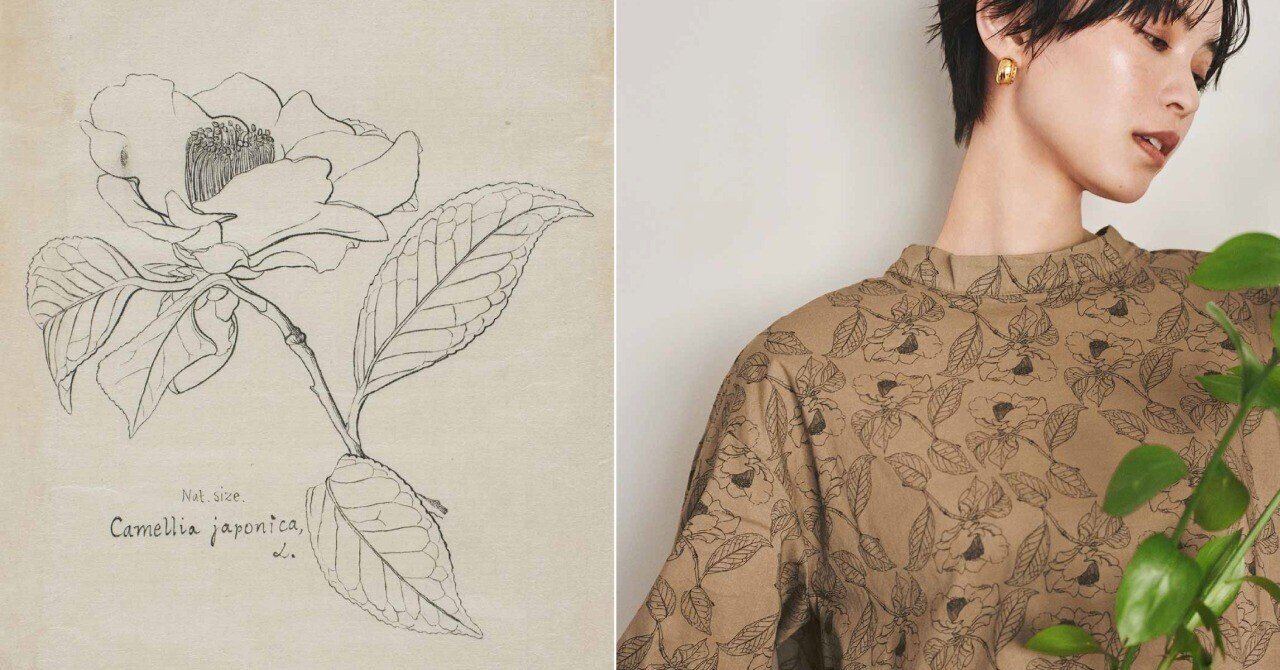 日本の植物分類学の父・牧野富太郎博士が描く植物図の魅力～MUSEUM