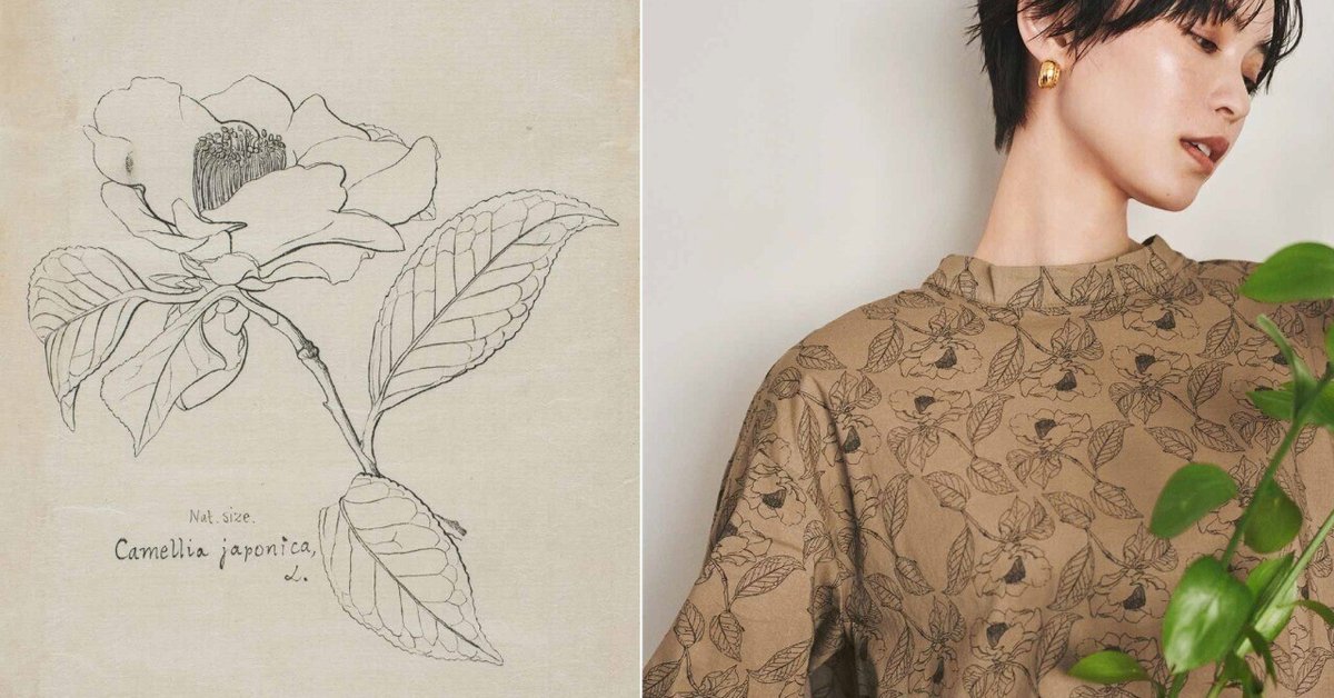 日本の植物分類学の父・牧野富太郎博士が描く植物図の魅力