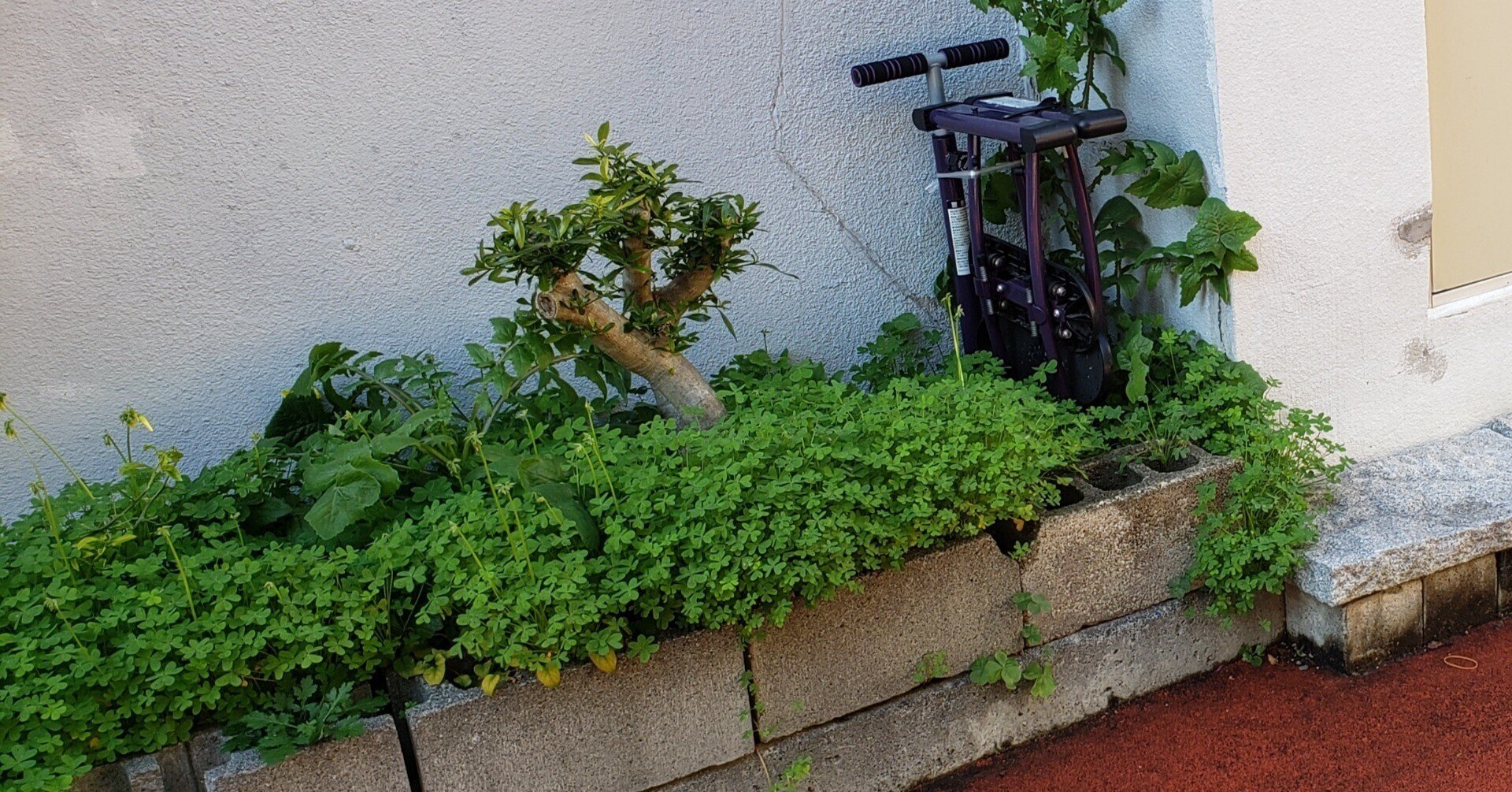 植え込み観察詩 さぬらい もね Note 植え込み観察詩 さぬらい もね Note