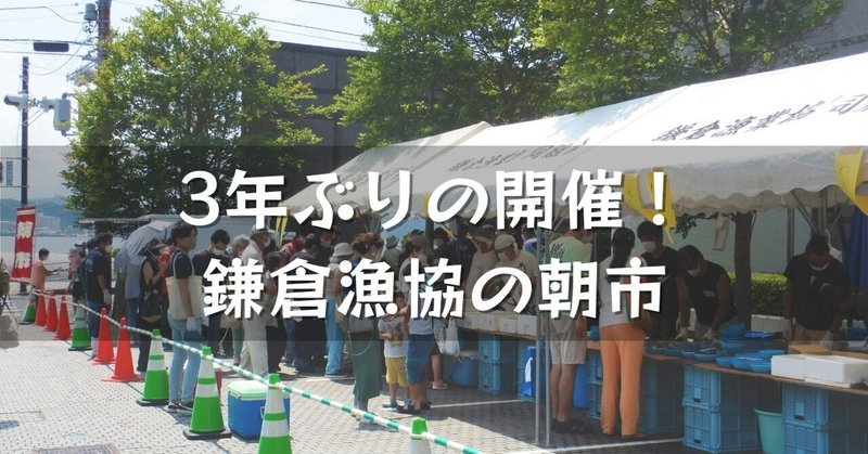 3年ぶりの開催！鎌倉漁協の朝市