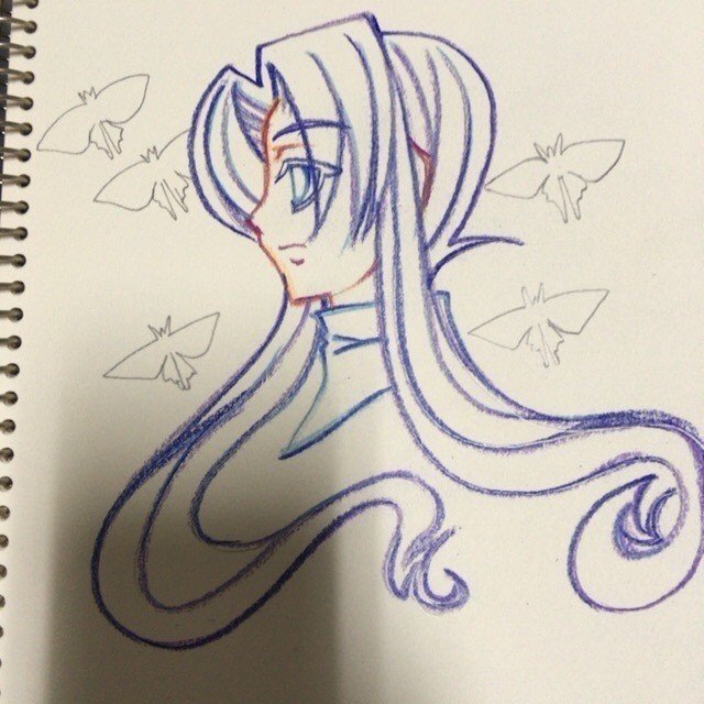 色鉛筆絵01 2 主線着色 浜田さな Note 色鉛筆絵01 2 主線着色 浜田さな Note