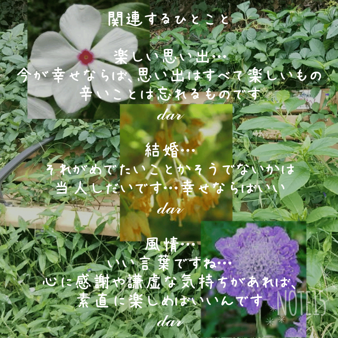 今日の花たち 7 30 花言葉 ニチニチソウ 楽しい思い出 友情 ボダイジュ 夫婦愛 結婚 スカビオサ 風情 魅力 不幸な愛 喪失 関連するひとこと だー Note