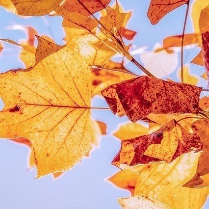 映画 マイインターン のロバートデニーロのセリフがかっこいい そのセリフとは 池藤友彦 Note