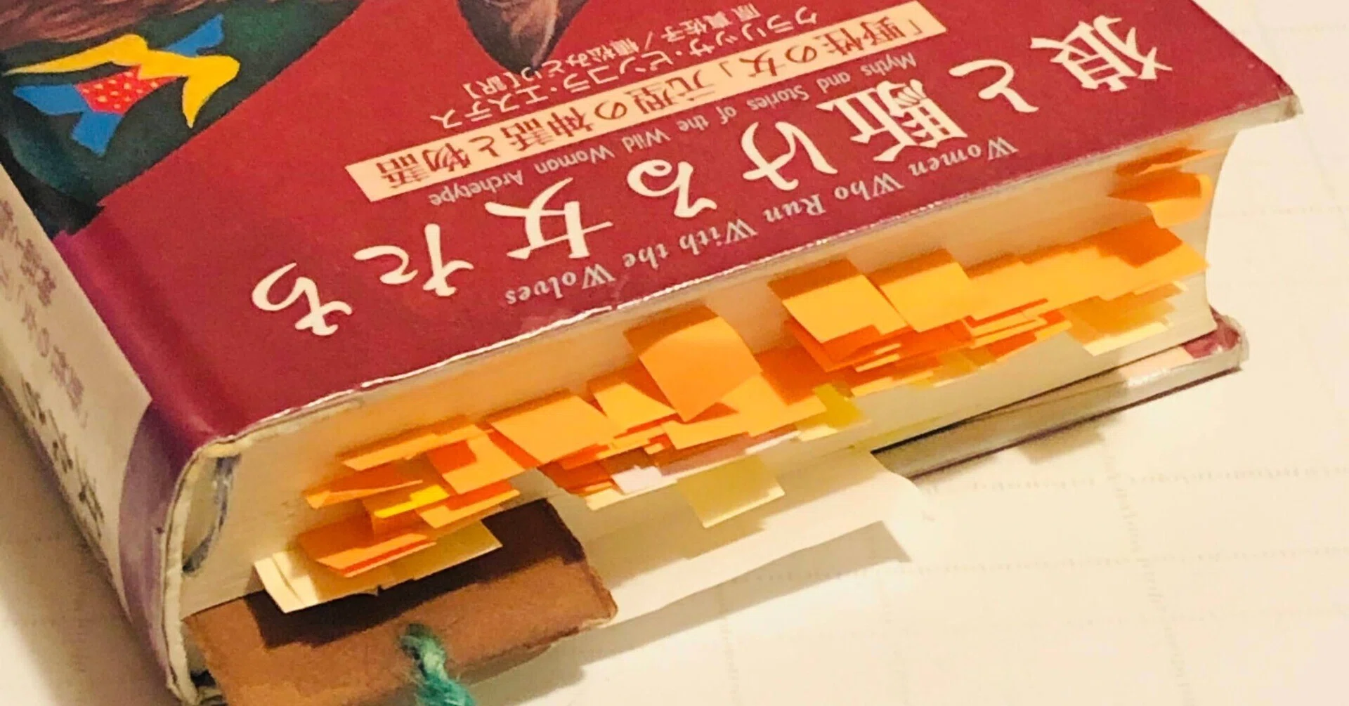 この夏、アートセラピー③|『狼と駈ける女たち 「野生の女」元型の この夏、アートセラピー③|『狼と駈ける女たち 「野生の女」元型の