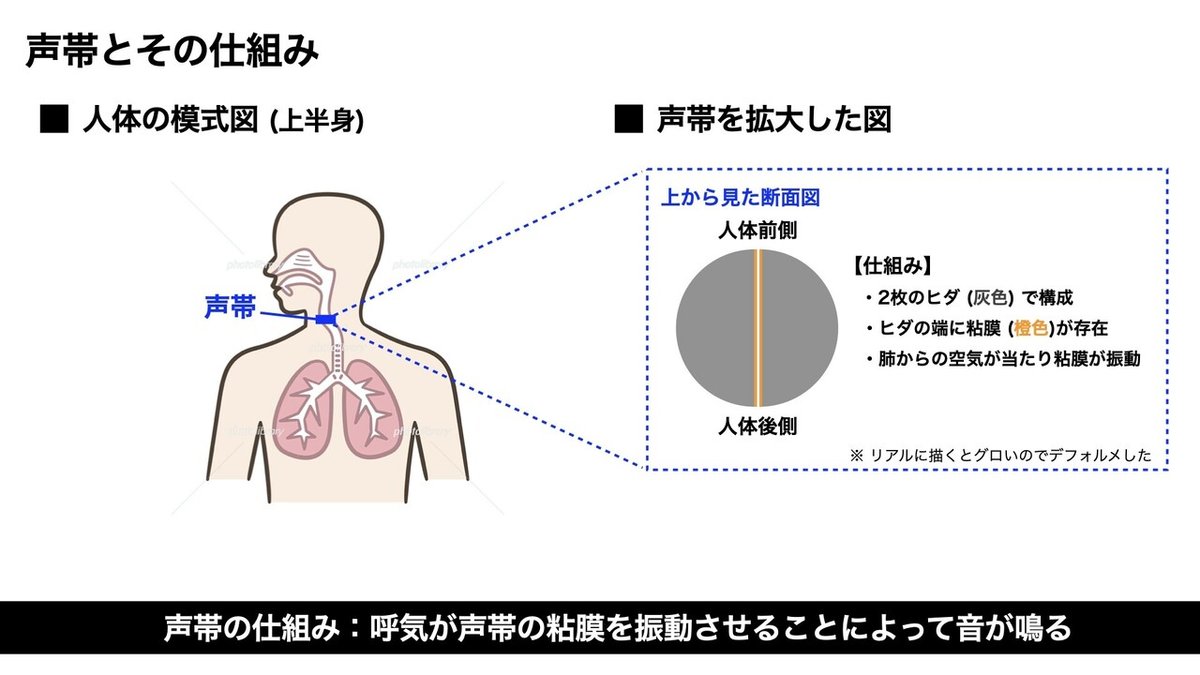 ゆうみすごいぞキャンペーン用1.001