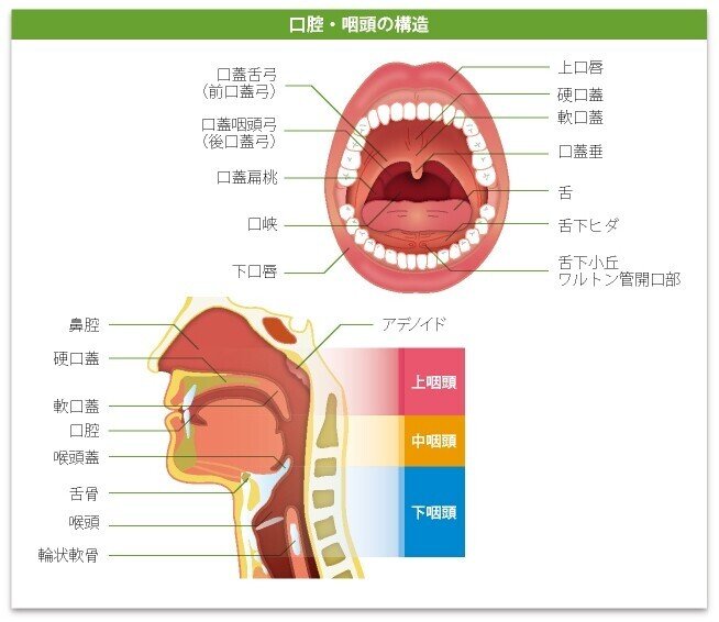 画像15