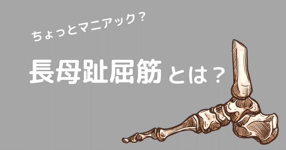 FAB　屈性回避/Quickdodge Flexors HNT　CF　日本語 足関節用サポーター「エクスエイド アンクルFO」製品情報 | 日本