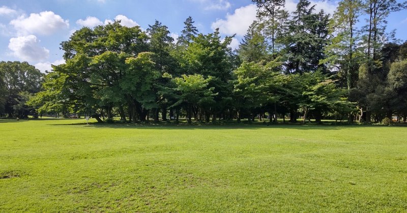 所沢航空記念公園に行ってみた