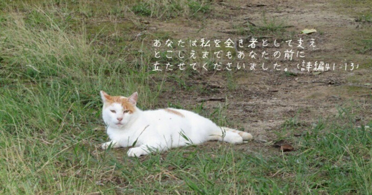 Amazon.co.jp: 詩篇を味わう 1 1-41篇 : 鍋谷 尭爾: Japanese Books