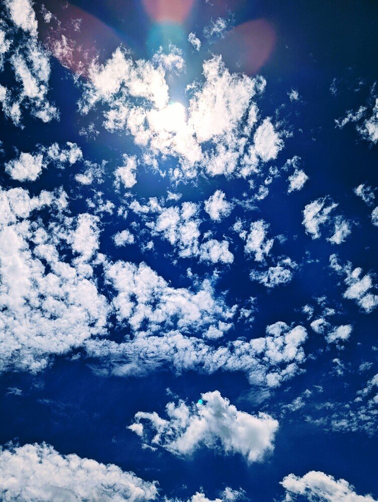 今日は細かい雲がいっぱいだ(*´∀`)♪
