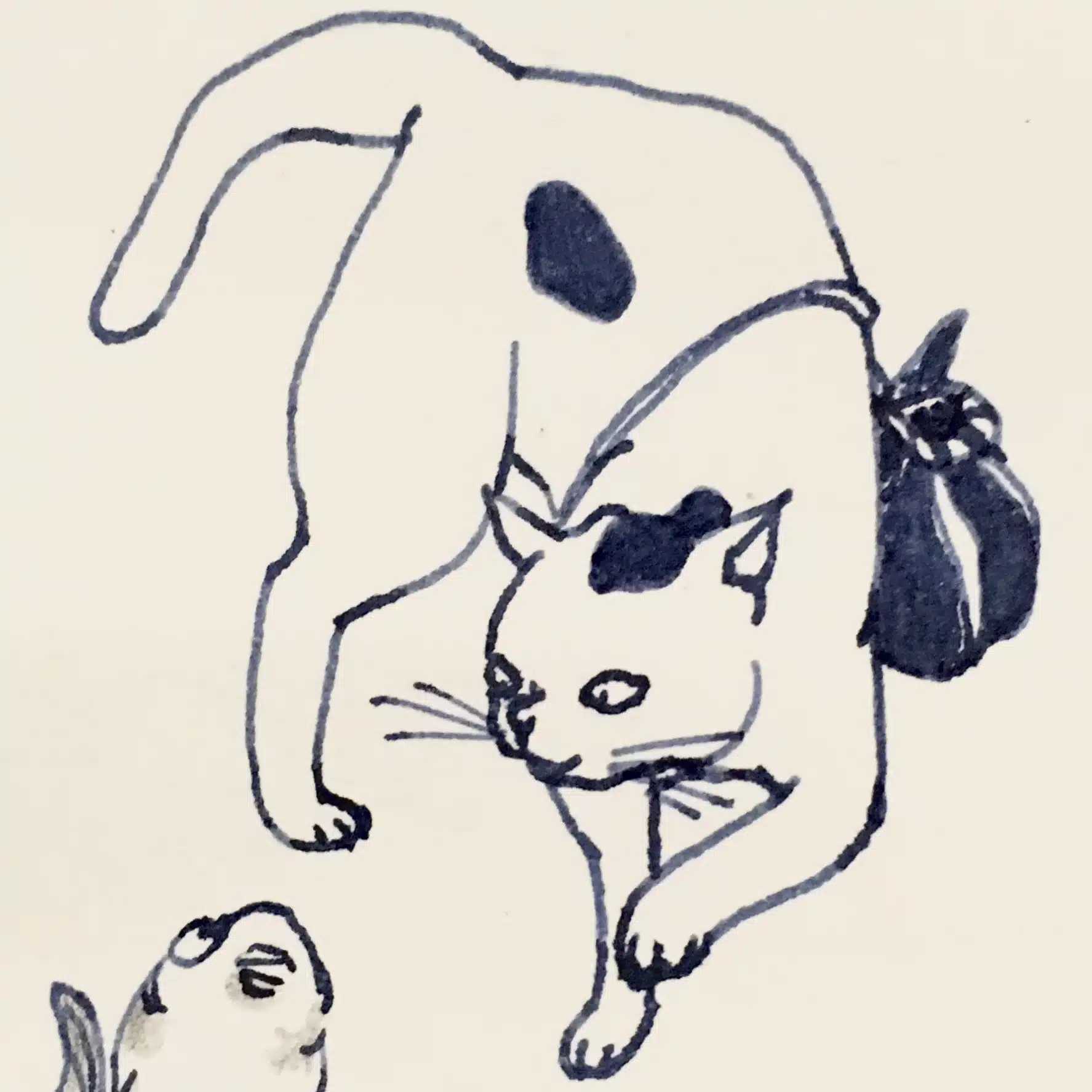 しらかわあずま