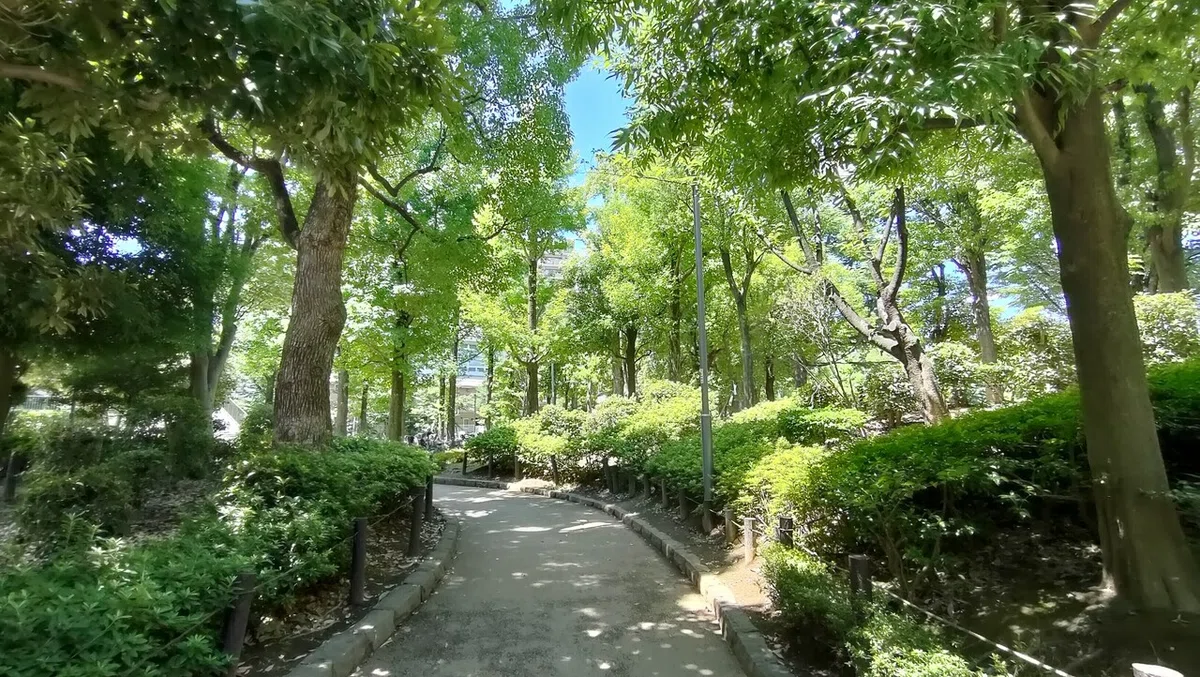 画像9