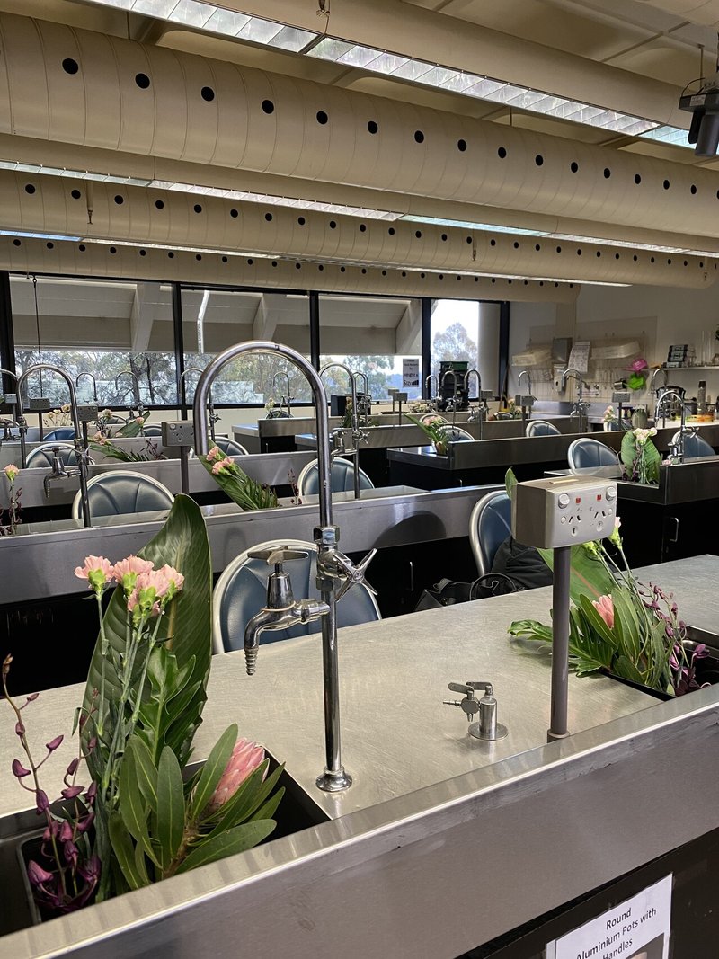 Mark Pampling氏から学ぶフローラルデザイン。シドニーTAFEで参加したワークショップ。｜Yukina Sakabe