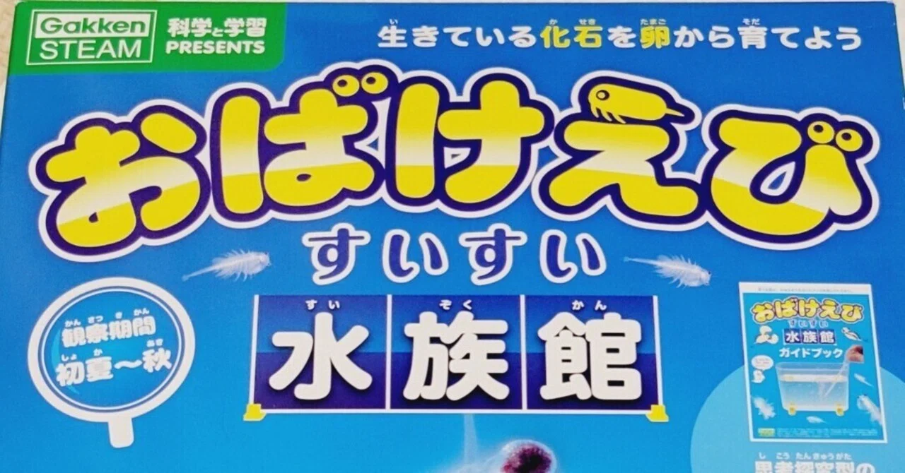 I've started raising fairy shrimp again this year.｜ゆうきち@男の子ママ