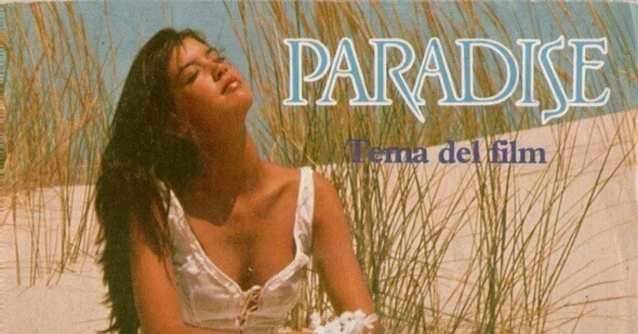DVD 廃盤 パラダイス DVD ヘア解禁版 1982 カナダ フィービー・ケイツ