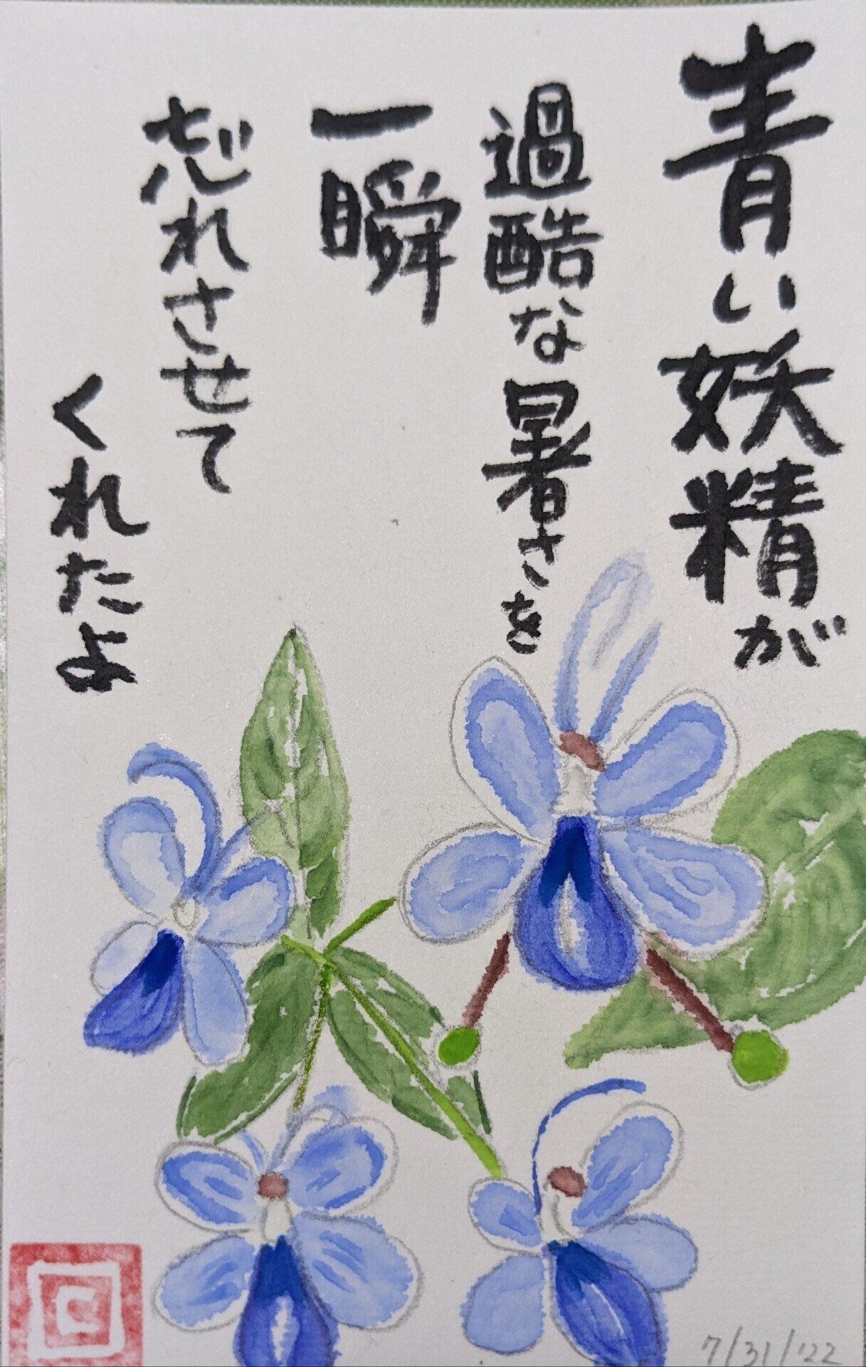 ロテカ ミリコイデス様 Cyndi Note