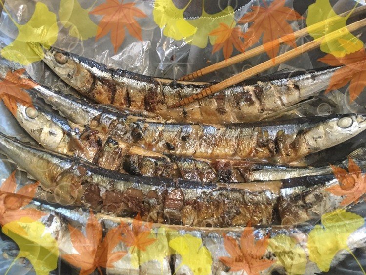 日本にいた頃に家族のバーベキューで食べた秋刀魚の塩焼きの味が忘れられず、宇和島屋に秋刀魚が売ってるとの情報があったので、早速買ってネットで見つけたフライパンで塩焼きするレシピを試して見ましたが…

中身はフワッと焼けたものの、皮がむけてしまい、なんだかグチャグチャであまり綺麗ではない塩焼きが出来ました😅

他のサイトで見たら、オーブンシートにサラダ油をクッキングペーパーで薄く塗ると上手くいくみたいですね！また宇和島屋で秋刀魚が売っていたら挑戦したいと思います＼＼\\٩( 'ω' )و //／／