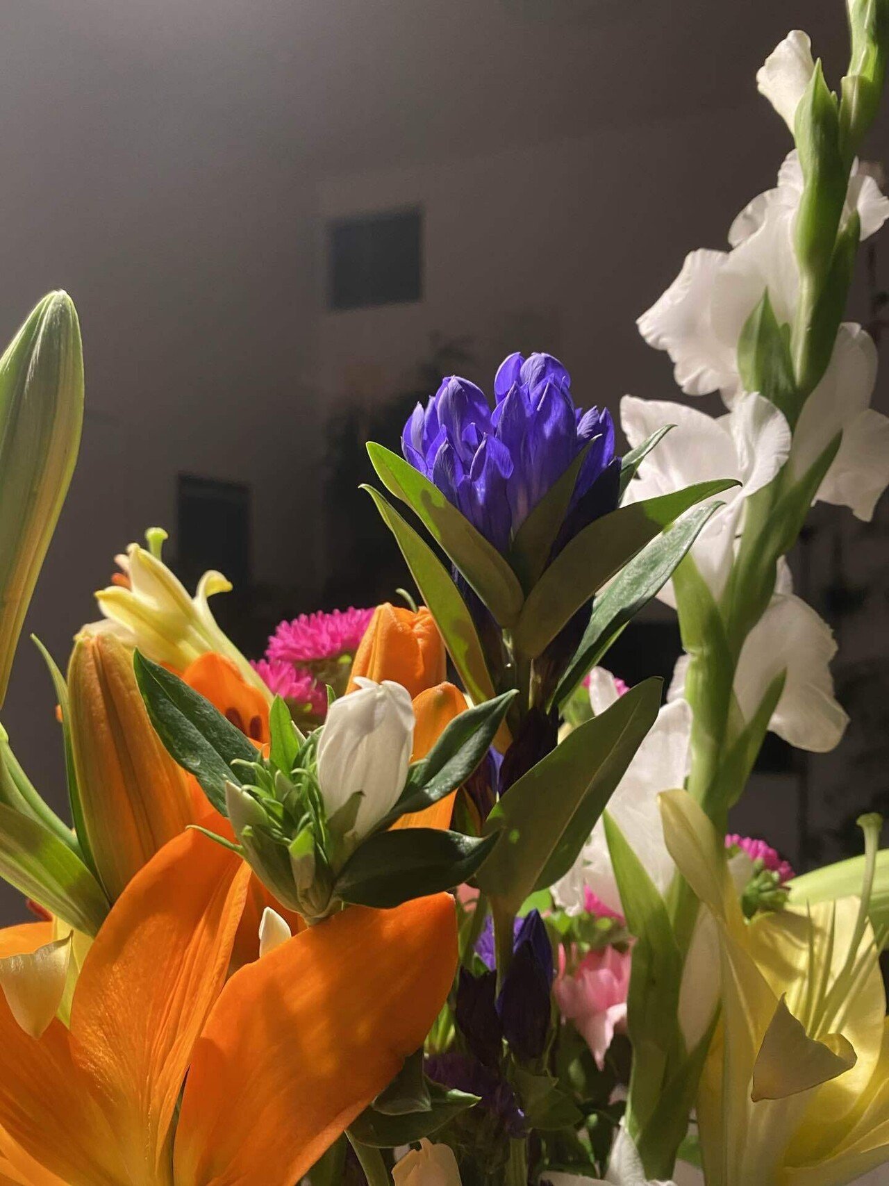 お盆に贈る花ー我が家の リンドウ といえば Haco ガーデンプランナー 庭のある暮らし植物のある暮らし Note お盆に贈る花ー我が家の リンドウ といえば Haco ガーデンプランナー 庭のある暮らし植物のある暮らし Note