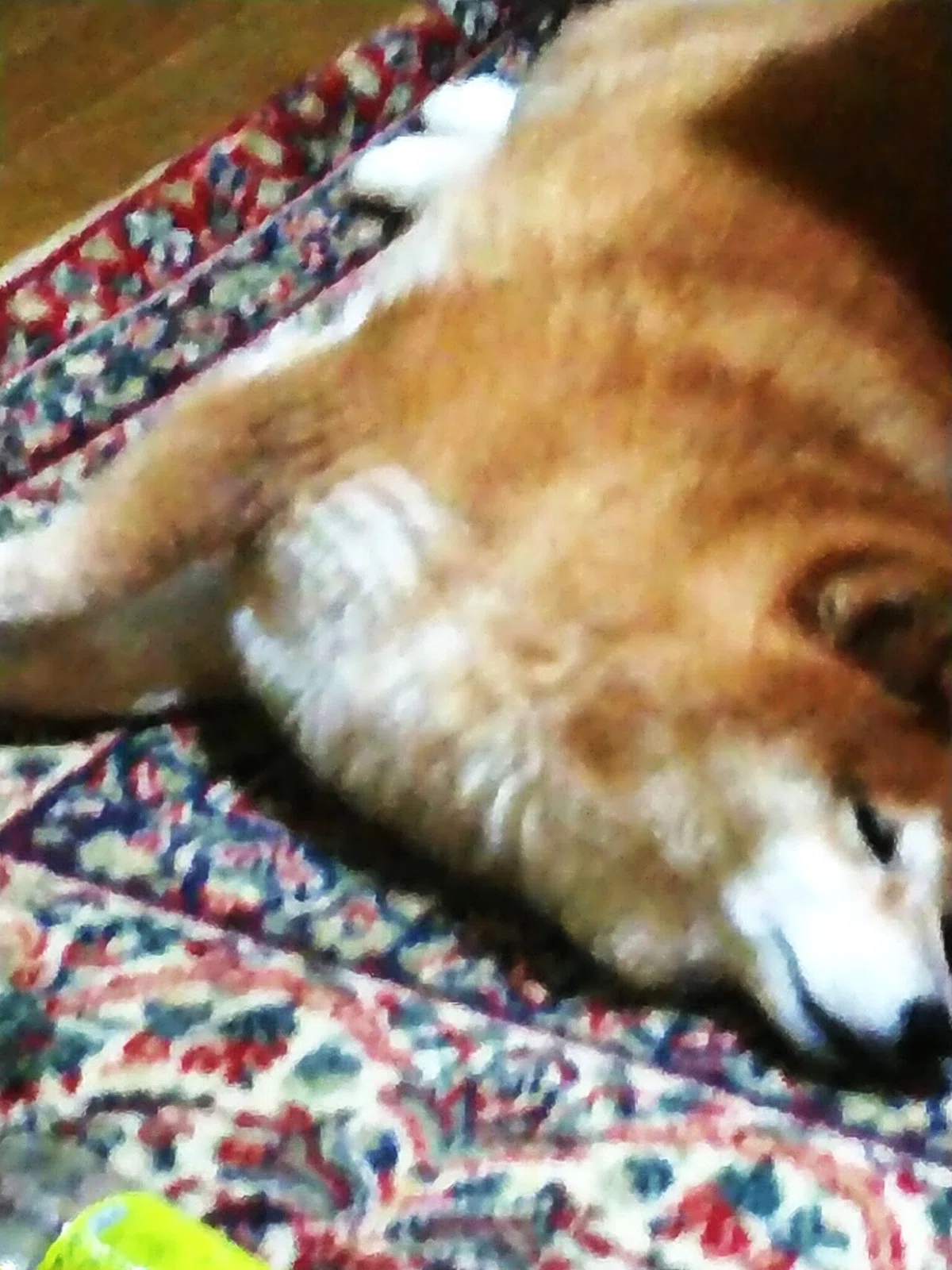 画像2