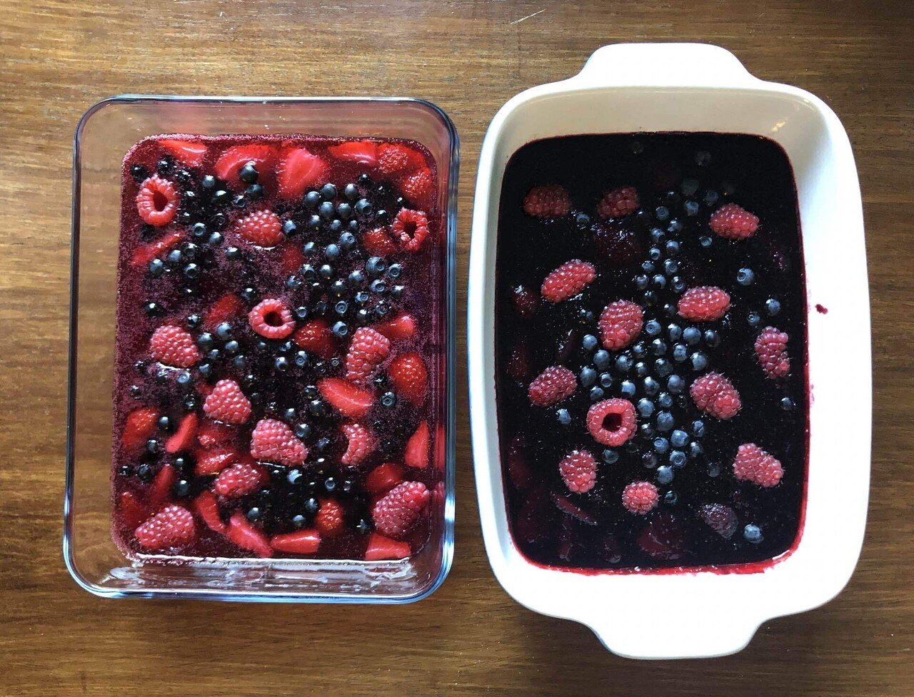 フィンランド生活340日目｜森でベリーを摘んできたよ🫐｜mitsuki.