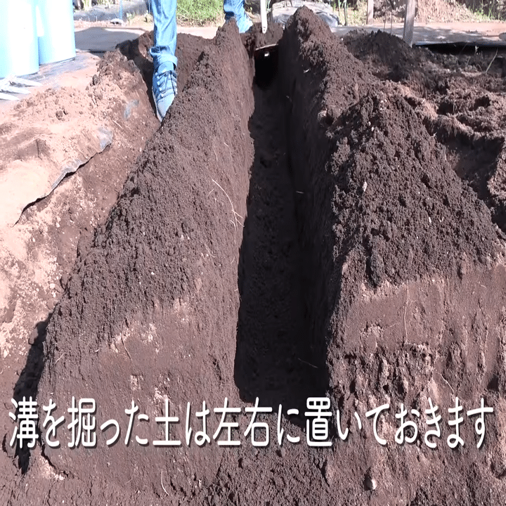 家庭菜園 遅れてしまったときの秋冬野菜の土づくりをご紹介 井上寅雄農園 井上隆太朗 Note