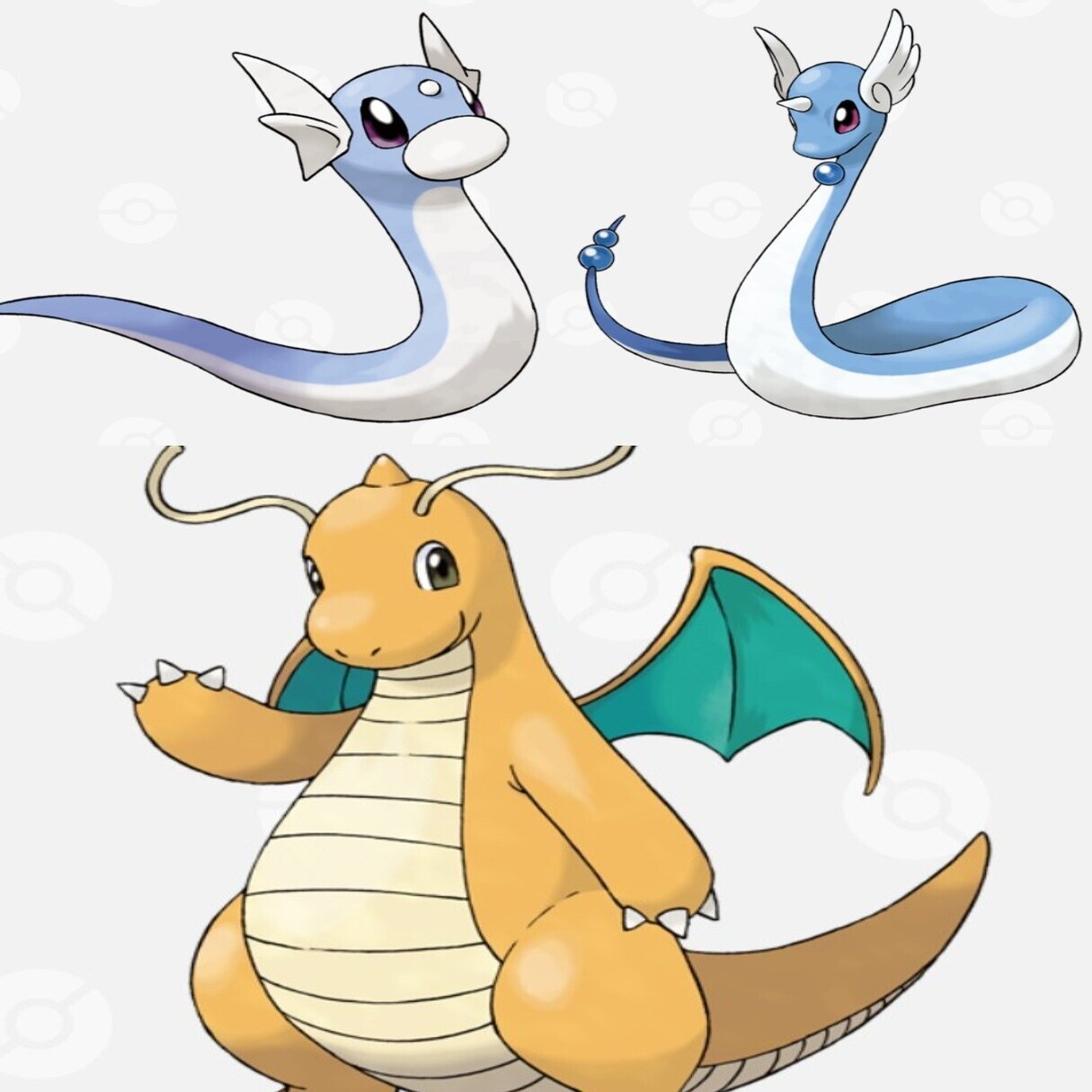 分類マニアなら すべての分類について語れる説 ドラゴンタイプ編 リユルン Note