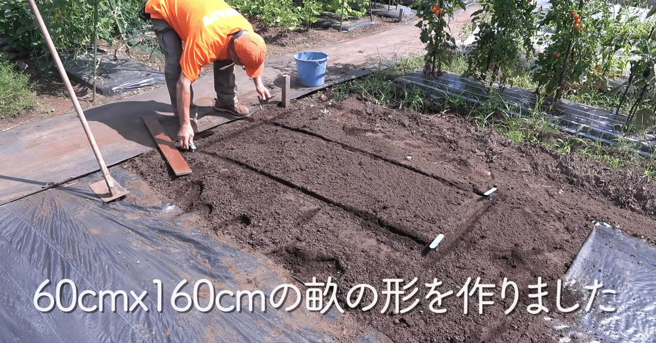 家庭菜園 秋冬野菜栽培のための高畝の立て方をご紹介 井上寅雄農園 井上隆太朗 Note