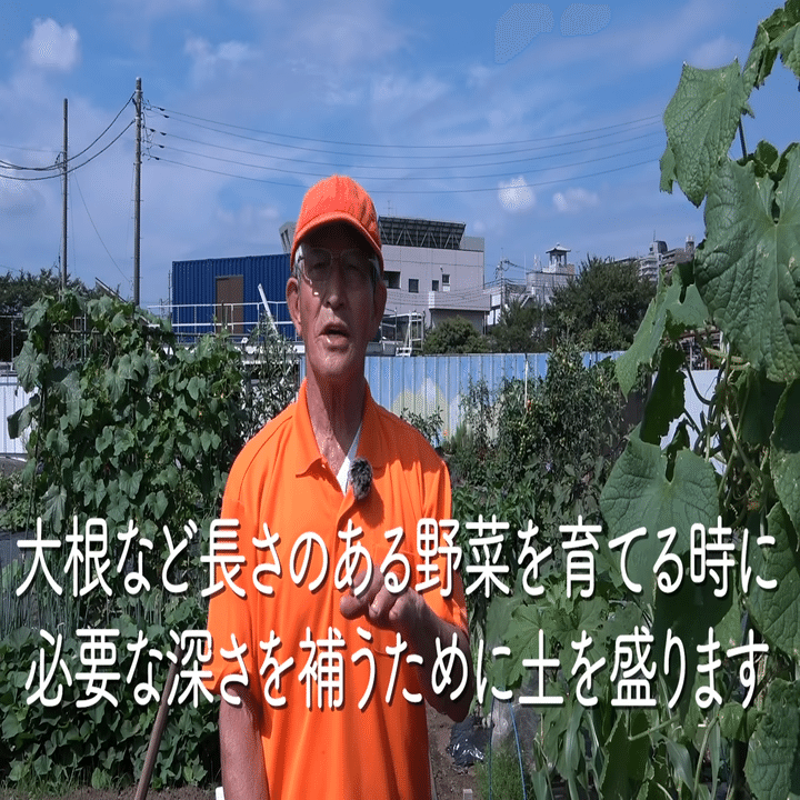 家庭菜園 秋冬野菜栽培のための高畝の立て方をご紹介 井上寅雄農園 井上隆太朗 Note
